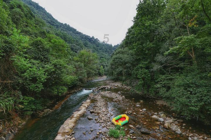 细胞分裂5