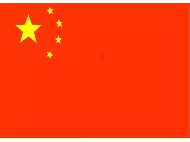 袋鼠兄弟2