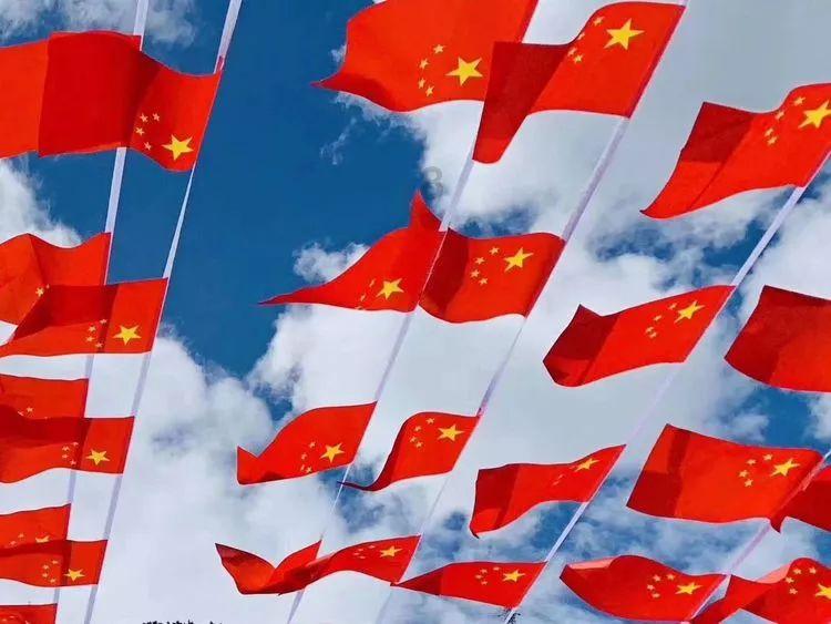 寻找萌小老虎