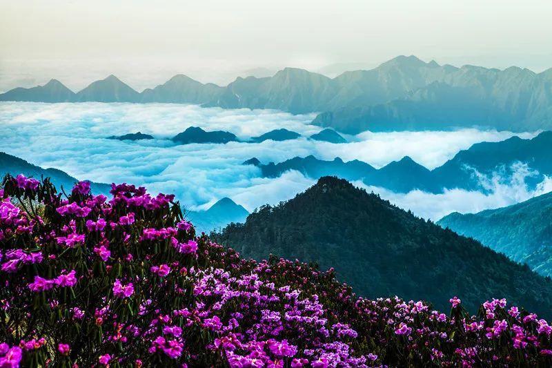 第一次坐飞机需要注意什么?-全方位解答,专业有问必答平台